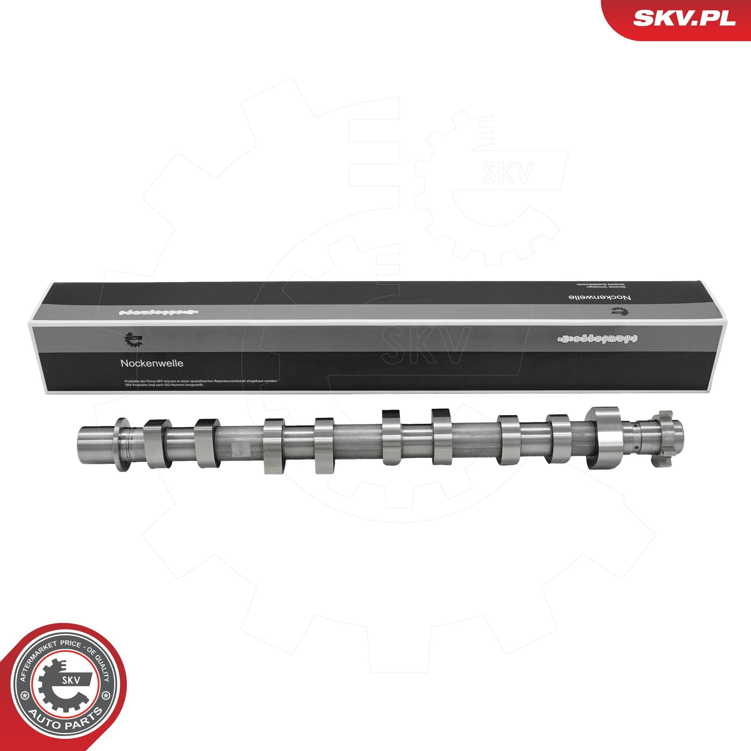80SKV054 SKV